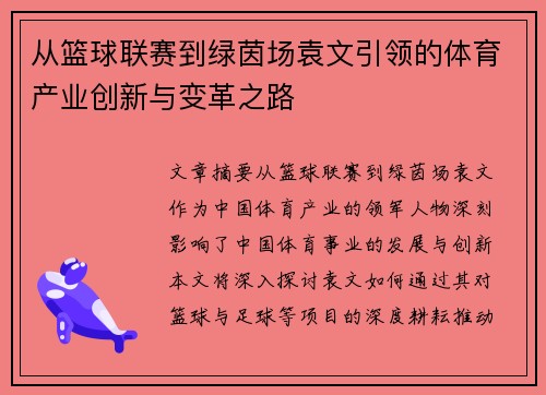 从篮球联赛到绿茵场袁文引领的体育产业创新与变革之路